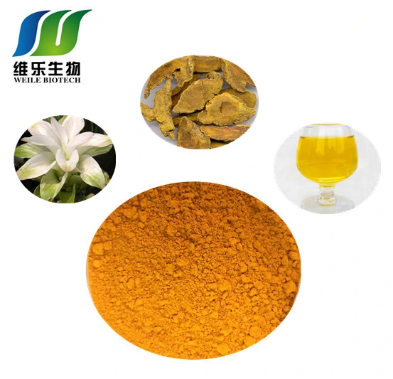 Bulk Turmeric Curcumin 95% Extract Powder CAS No. 458-37-7