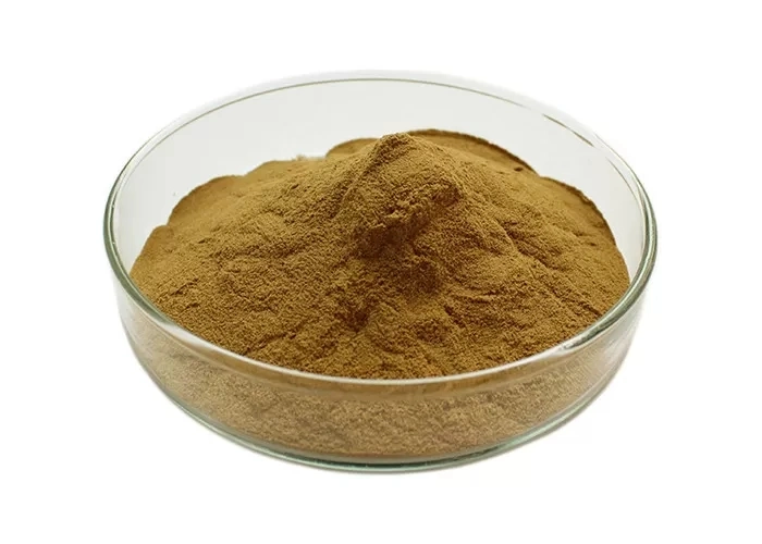 Natural Ginkgo Biloba Extract 24% Flavones 6% Lactones for Health Care