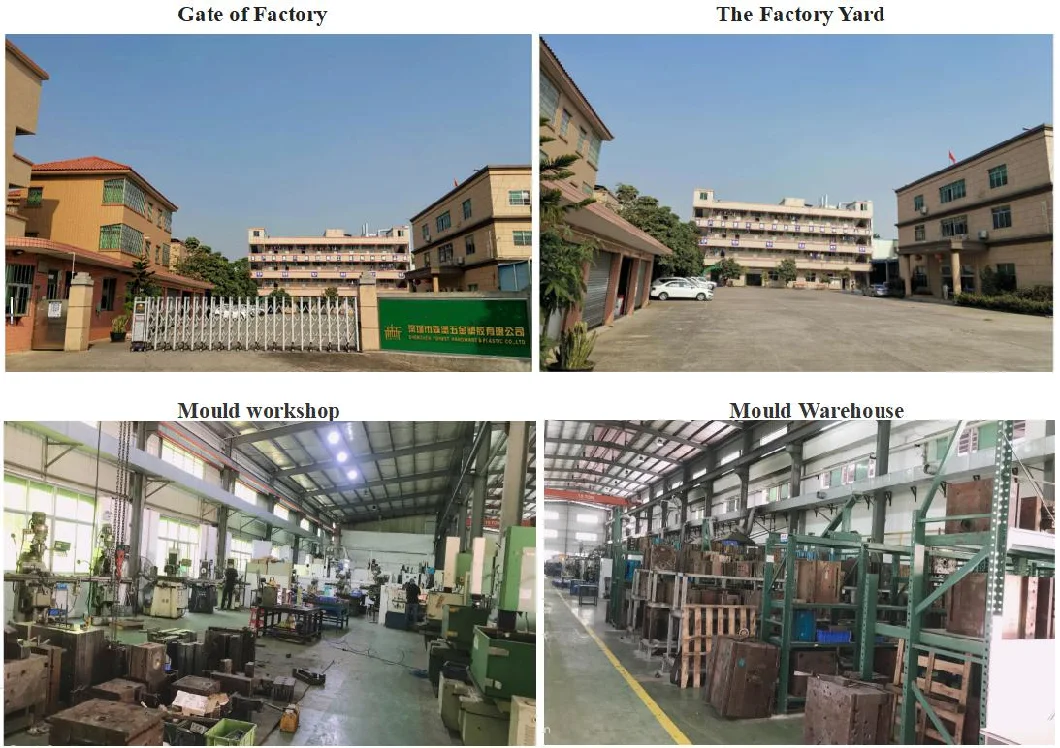 Precision Progressive Tool Metal Die Casting Mould/Mold/Tooling for Auto Parts Mould