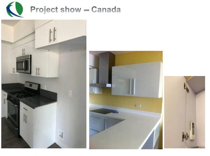 American Style Kitchen Cabinet Modern Kitchen Furniture Modular Kitchen Cabinets