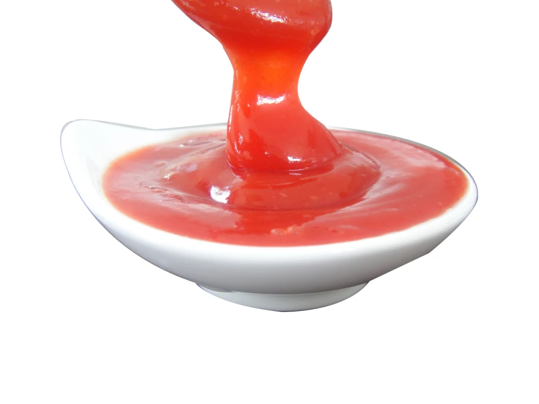 OEM Tomato Paste Buyers Double Concentrated Tomato Paste Ginny Brand for Burkina Faso