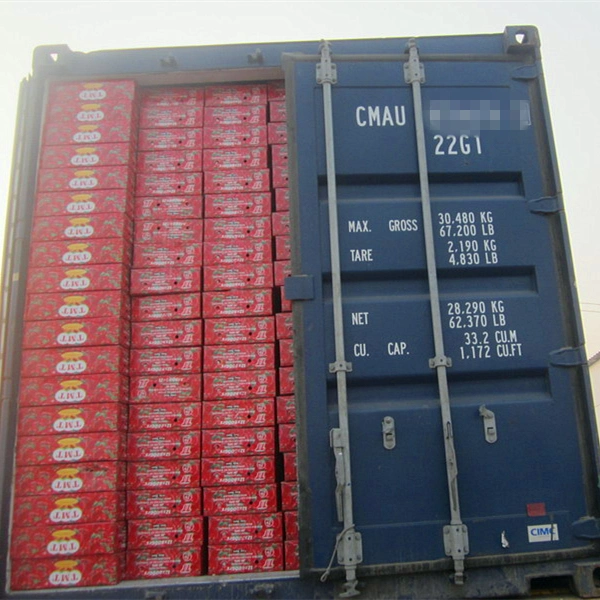 OEM Tomato Paste Buyers Double Concentrated Tomato Paste Ginny Brand for Burkina Faso