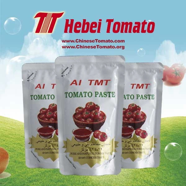 OEM Tomato Paste Buyers Double Concentrated Tomato Paste Ginny Brand for Burkina Faso