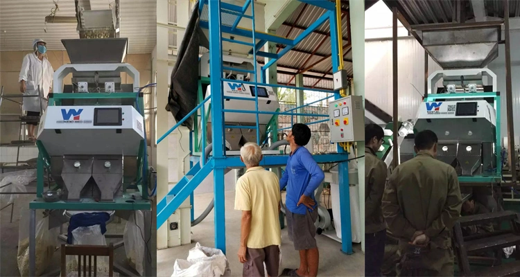Puer Tea Color Sorting Machine with Nir Sensor