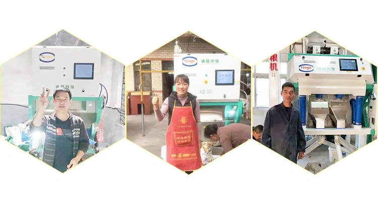 8 Chutes CCD China Black Tea Color Sorter Sorting Machine