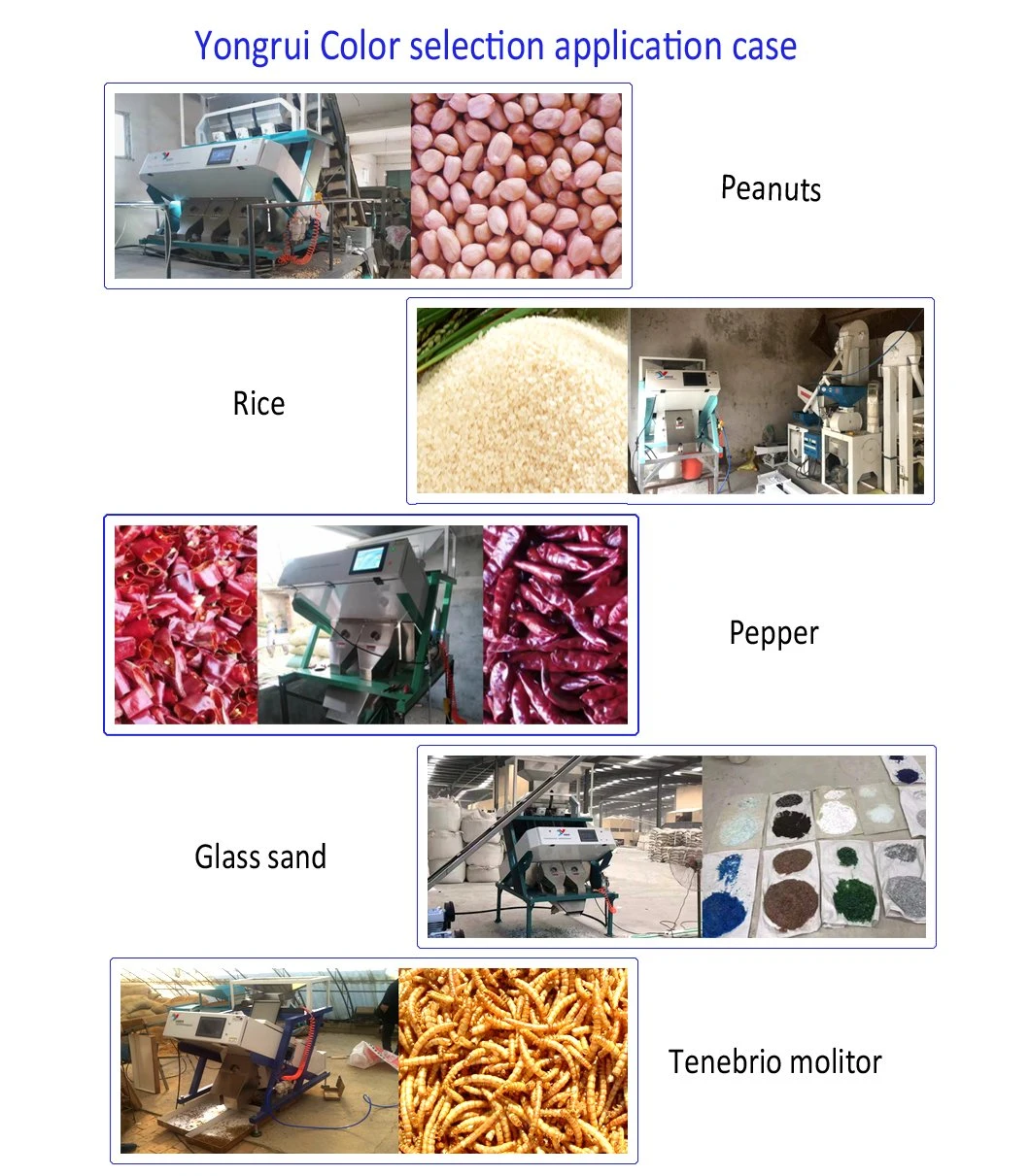 Tea Color Sorting Machine Black Tea Green Tea Oolong Tea Color Sorter From China