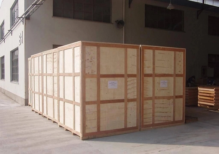 Automatic Tea Bag Packing Machine/Rice Sachet Packing Machine
