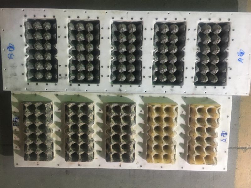 Small Egg Tray Machine /Machine Making Egg Trays