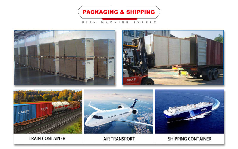 Factory Direct Sale Automatic Fish Processing Cutting Machine in India
