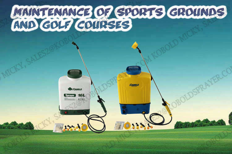 16L Electric Backpack Agricultural Weed Sprayer Garden Weed Sprayer Portable Backpack Sprayer