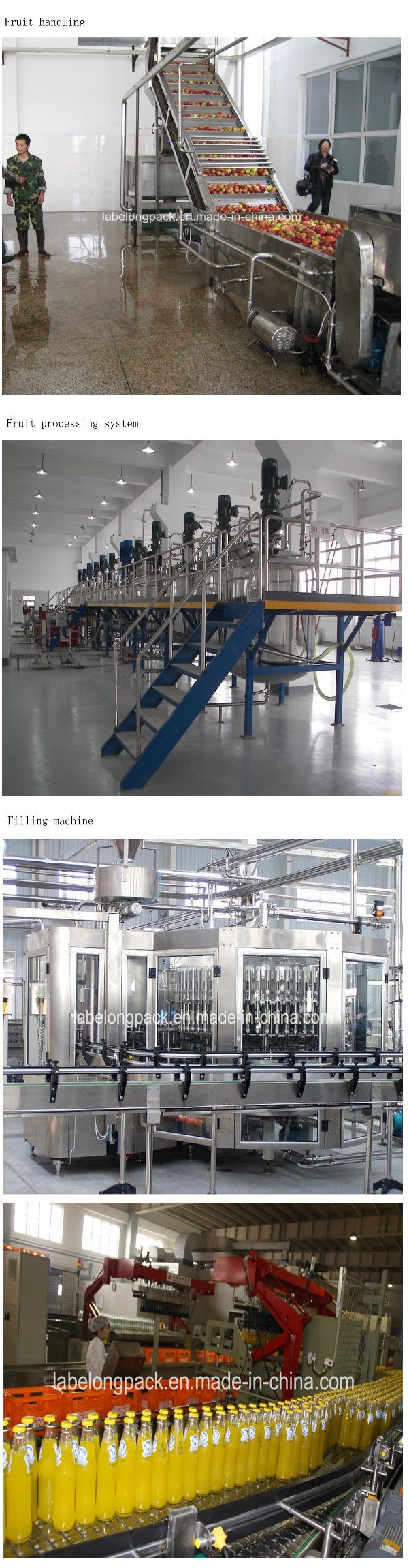 High Quality Grape Juice Bottling Machines for Pet Bottle