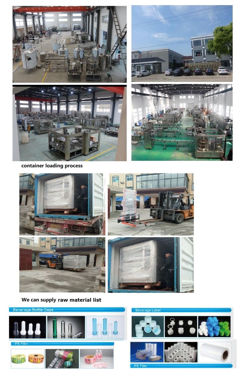 Auto Bottle Liquid Packing Machine