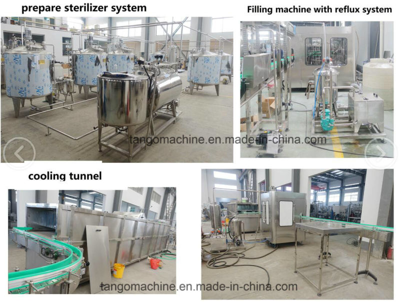 Automatic 500ml Pet Bottle Filling Machines for Beverage Juice