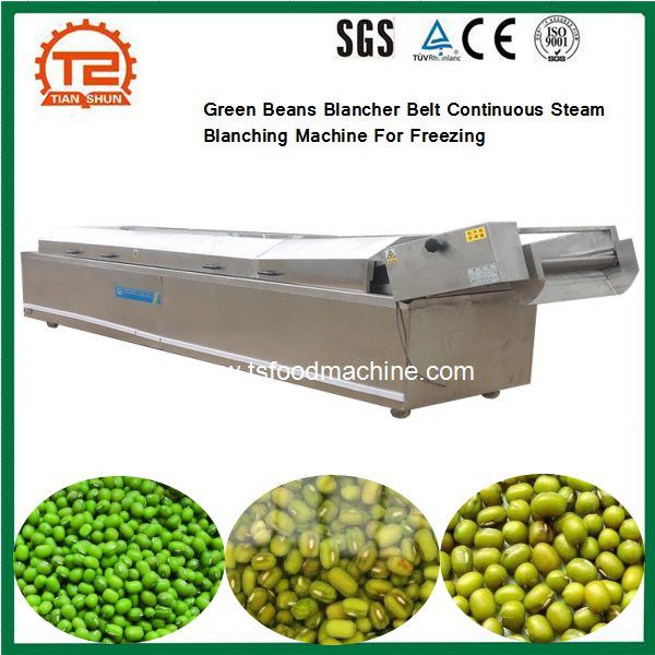 Green Beans Blancher Belt Continuous Steam Blanching Machine for Freezing