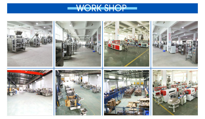 Chinese 2020 Automatic Hot Pouch Packing/Packaging Machines