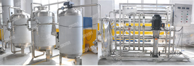 Reverse Osmosis Purification Equipment for Drinking Filling Machine