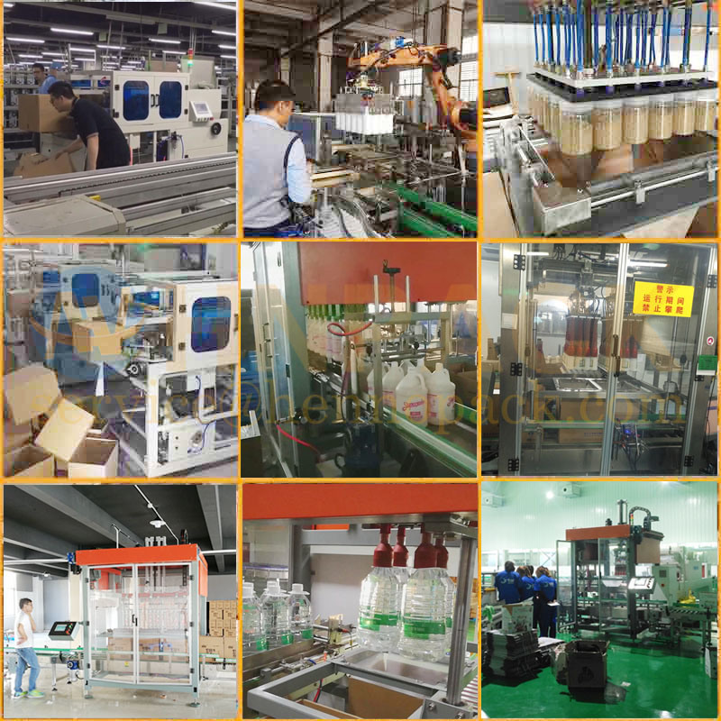 Shenzhen Hennopack Packaging Machines Servo Type Top Load Pick and Placer Packer Packaging Machine