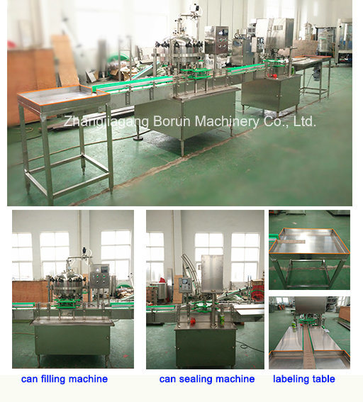 Ce Standard Automatic Beer Can Rinsing Filling Sealing Machine