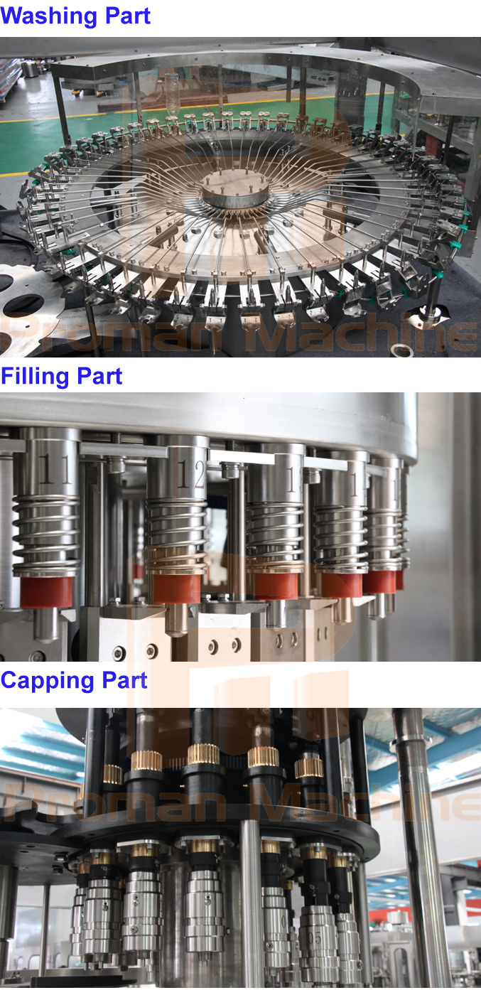 Complete Bottle Water Filling Machine/Water Bottling Plant/Mineral Water Plant Machinery