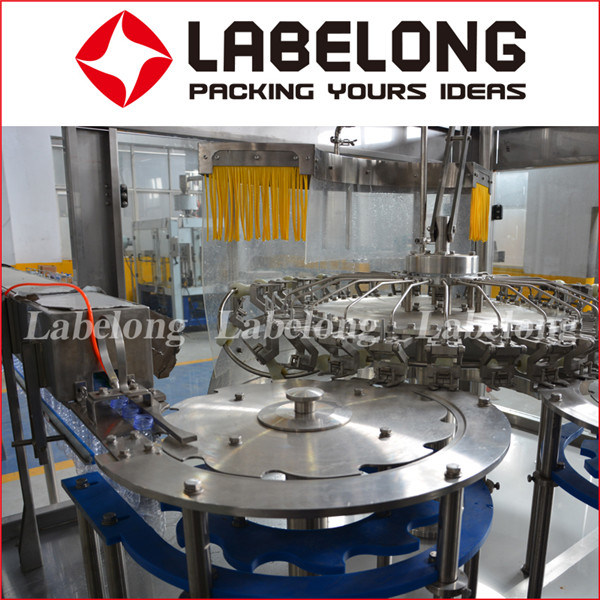 10000bph Complete Spring Water Filling Equipment with Ce