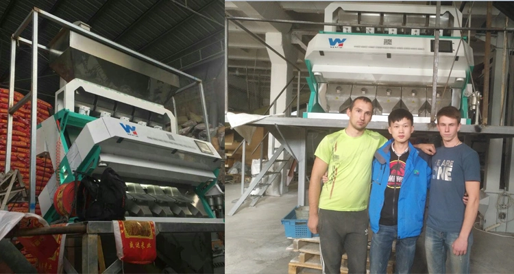 Sesame Optical Sorting Machine Sorting Mini Equipment Sorter Machine Price for Sesame