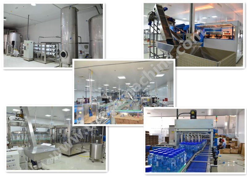 Turnkey Project for Complete Mineral Water / Drinking Water Bottling Machine