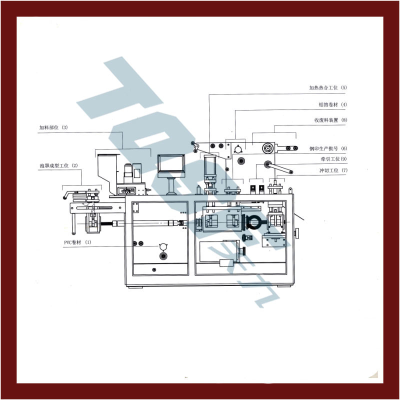 Professional Capsule Packing Machine DDP Type Packing Machine