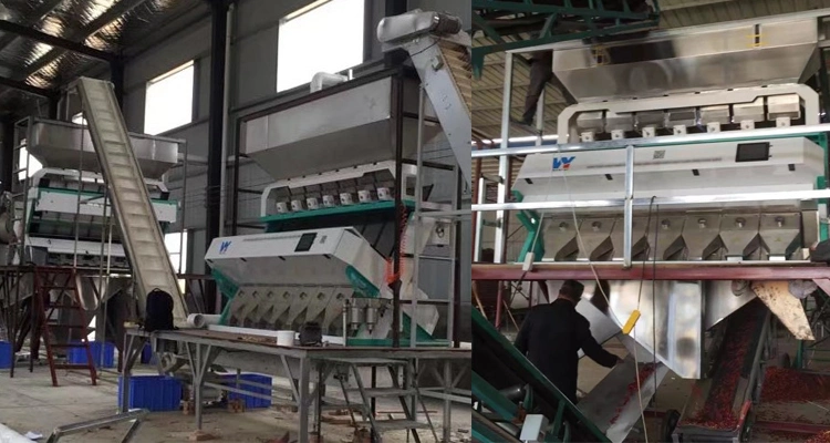 Sesame Optical Sorting Machine Sorting Mini Equipment Sorter Machine Price for Sesame