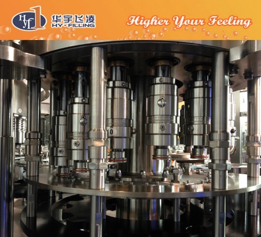 Full Automatic Mineral Water Bottling Plant Machine/Equipment/System Cost