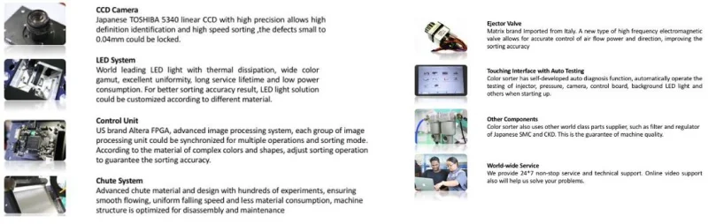 Sesame Optical Sorting Machine Sorting Mini Equipment Sorter Machine Price for Sesame