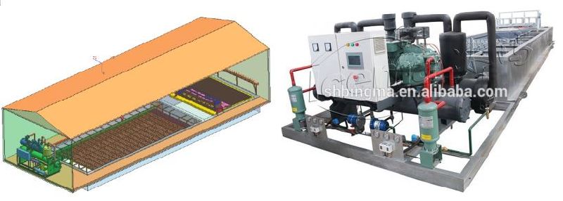 20ton Bullet Ice Making Machine Transparent Ice for Ice Exhibition