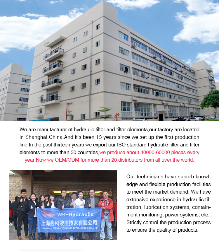 Filter/Spare Parts/Industrial Filter/Filter Cartridge/Oil Filter/Filter Element (D931G10)