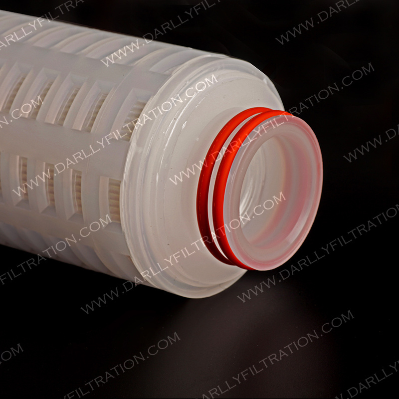 Darlly Hydrophilic PTFE Membrane 0.22 Micron Pleated Cartridge Filter for Sterile Apis