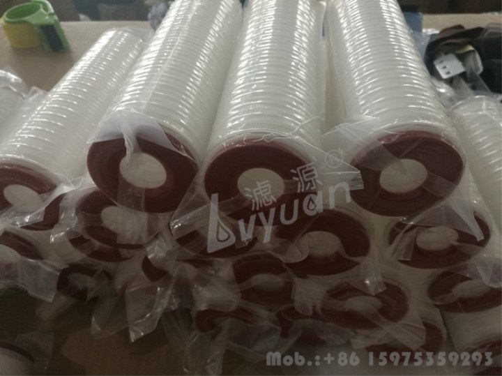 PP Pleated Membrane 0.2 0.45 Micron Microporous Folded Filter Cartridge for Water Treatment Plant