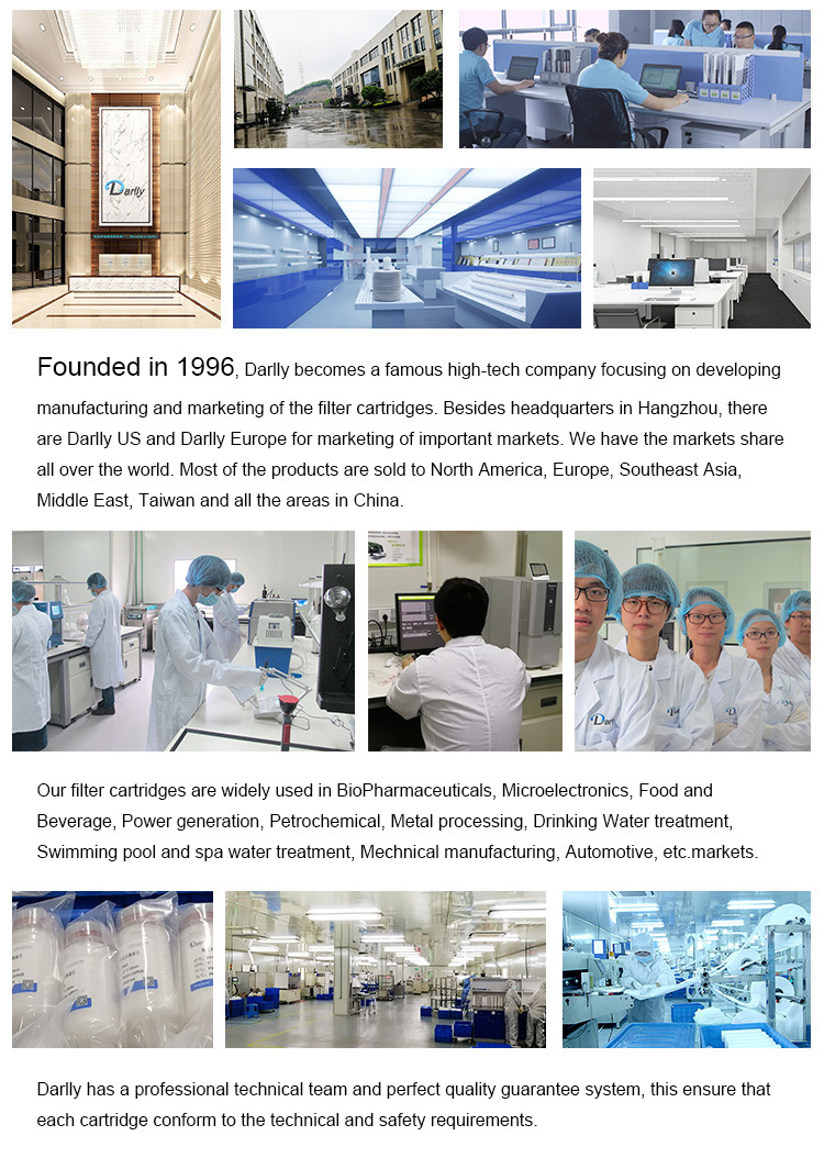 Darlly Hydrophilic PTFE Membrane 0.22 Micron Pleated Cartridge Filter for Sterile Apis