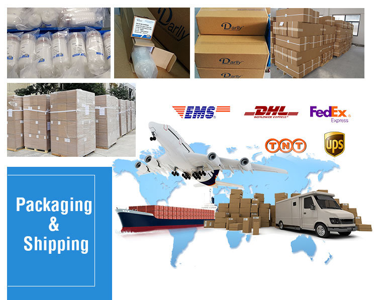 Backwash Pleated Filter Cartridge Dlsf Series Filter Cartridge for Pretreatment