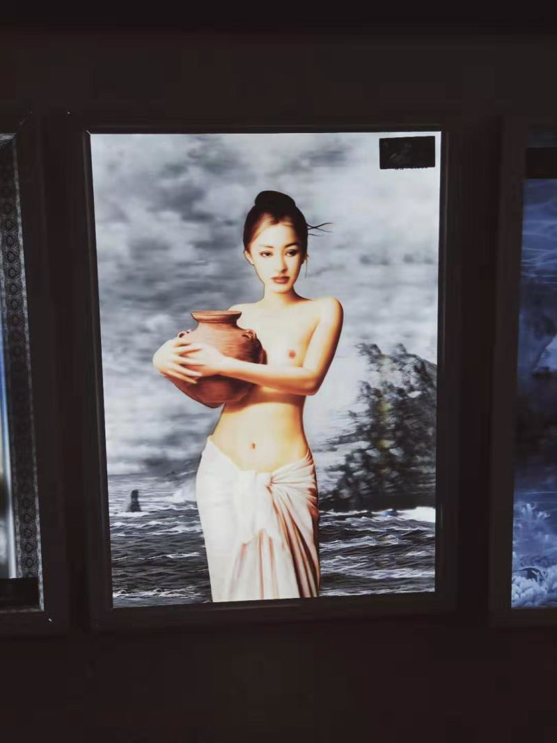 Custom UV Printing 3D Lenticular Card/3D Lenticular Poster