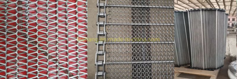 Flat Flex Wire Mesh Belt/Roller Conveyor/ Driven Conveyor Belt