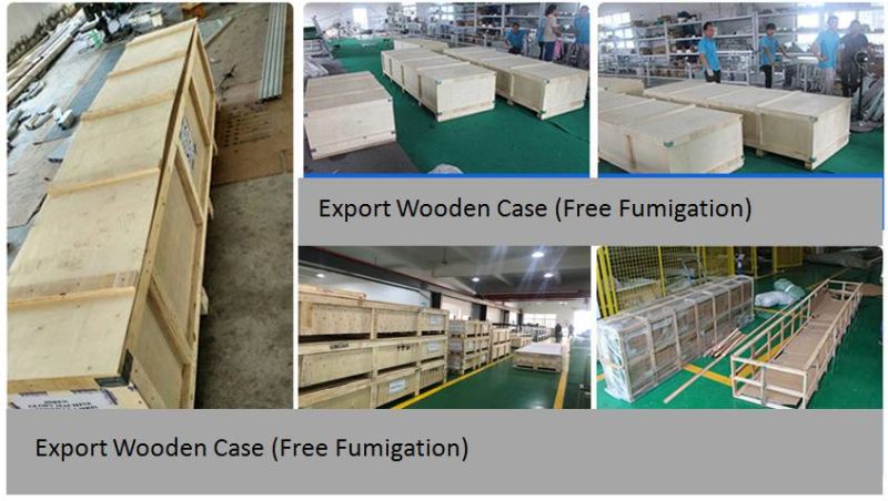 Conveyor Belt System Conveyor Belting Modular Wire Mesh Belt Conveyor Plastic