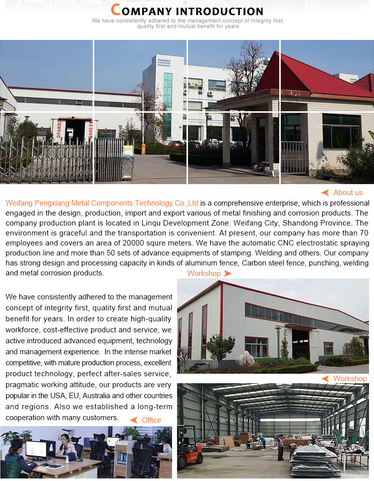 Powder Coated Galvanized Steel/Aluminum Fence for Garden/House/Villa