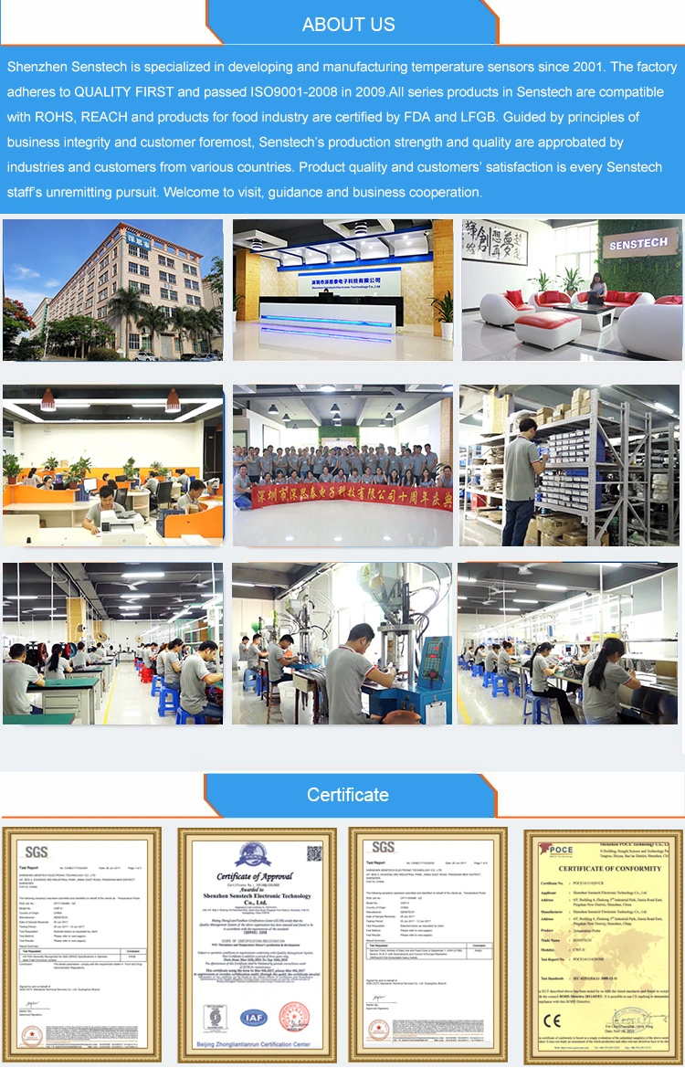 Customized Connector Flange Probe Rtd Class B Thermistor Sensor